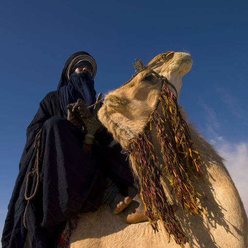 Tuareg man riding his camel, Tripolitania, Ghadames, Libya