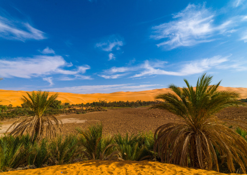 Mandara lake in the dunes of ubari, Fezzan, Umm al-Maa, Libya