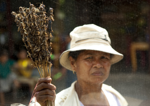 Woman selling bugs on the road, Phonsaad, Laos