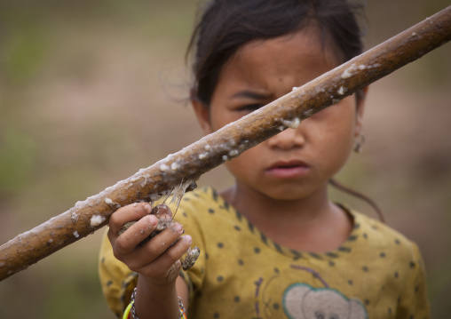 Khmu minority girl chasing insects with glue on a stick, Xieng khouang, Laos