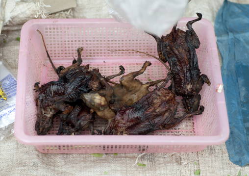 Dried rats sold in a market, Luang namtha, Laos