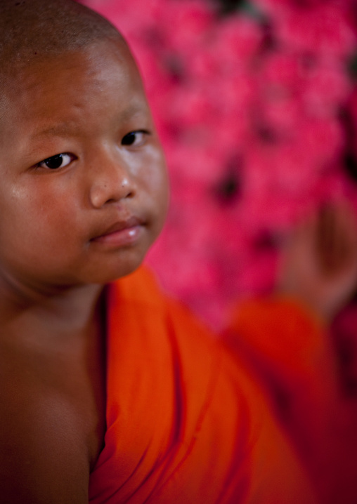 Novice buddhist monk, Nam deng, Laos