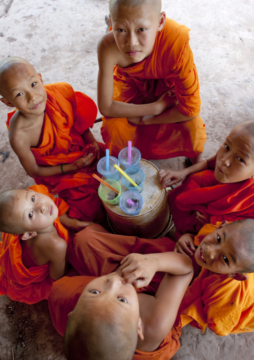 Novice buddhist monks sharing drinks, Muang sing, Laos