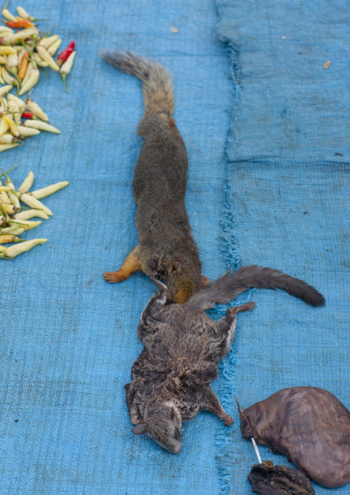 Squirrel in a market, Thakhek, Laos