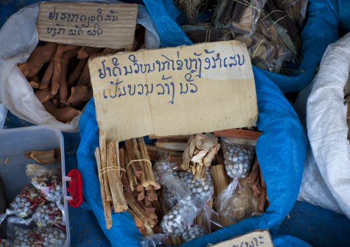 Traditional medicine, Thakhek, Laos