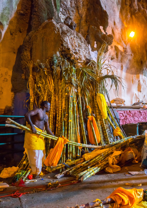 Hindu Priest Collecting Sugar Canes Used To Carry People To The Annual Thaipusam Religious Festival In Batu Caves, Southeast Asia, Kuala Lumpur, Malaysia