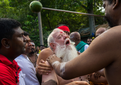 An Australian Hindu Devotee Cheek Is Pierced By A Priest At Thaipusam Hindu Festival At Batu Cave, Southeast Asia, Kuala Lumpur, Malaysia