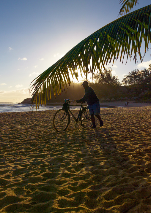 Man Pushing His Bicycle On The Beach, Tofo, Inhambane Province, Mozambique