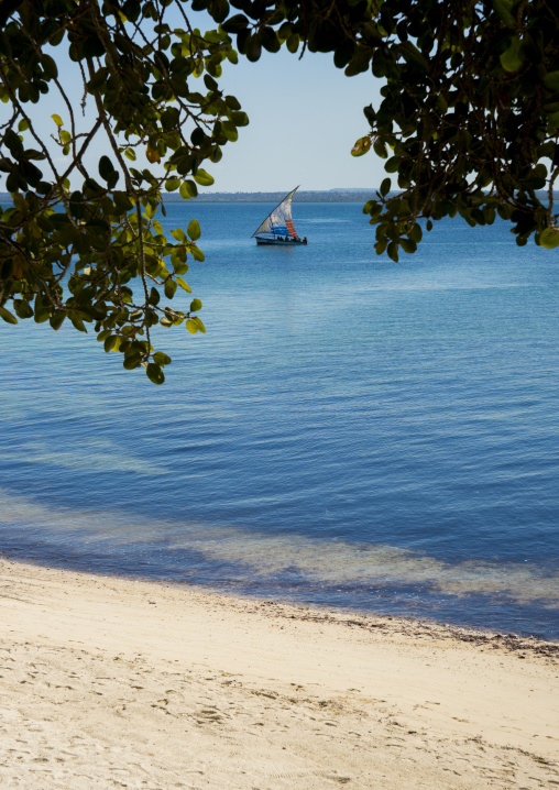 Dhow Sailing, Ilha de Mocambique, Nampula Province, Mozambique