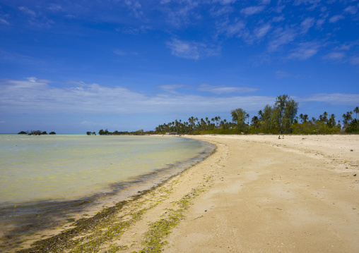 Beach, Quirimba Island, Cabo Delgado Province, Mozambique