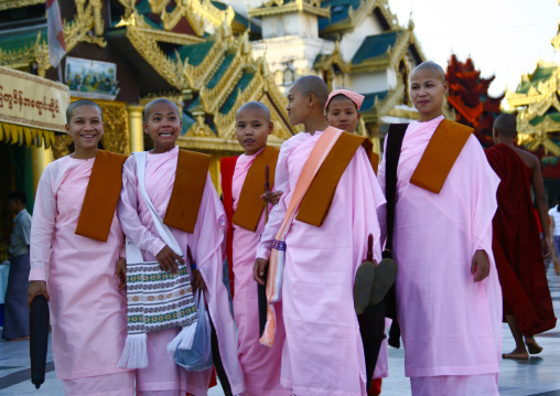 Nuns In Shwedagon Pagoda, Rangoon, Myanmar