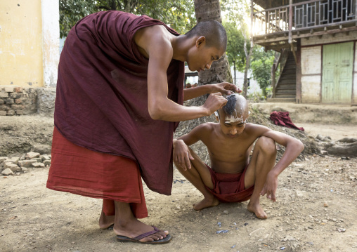 Monk Shaving Head Of Novice Prior To Entering The Monastery,  Mrauk U, Myanmar