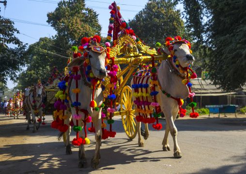 Decorated Ox Cart During A Novice Parade, Bagan,  Myanmar