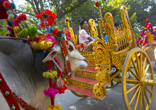 Decorated Ox Cart During A Novice Parade, Bagan,  Myanmar
