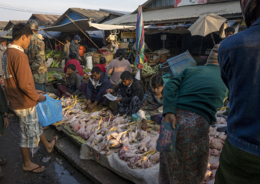 People Selling Chickens In Central Market, Sittwe, Myanmar