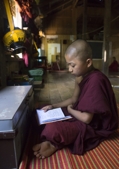 Young Novice Reading A Book, Mrauk U, Myanmar