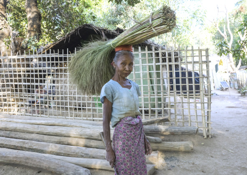 Old Woman Carrying Grass On Her Head, Mrauk U, Myanmar