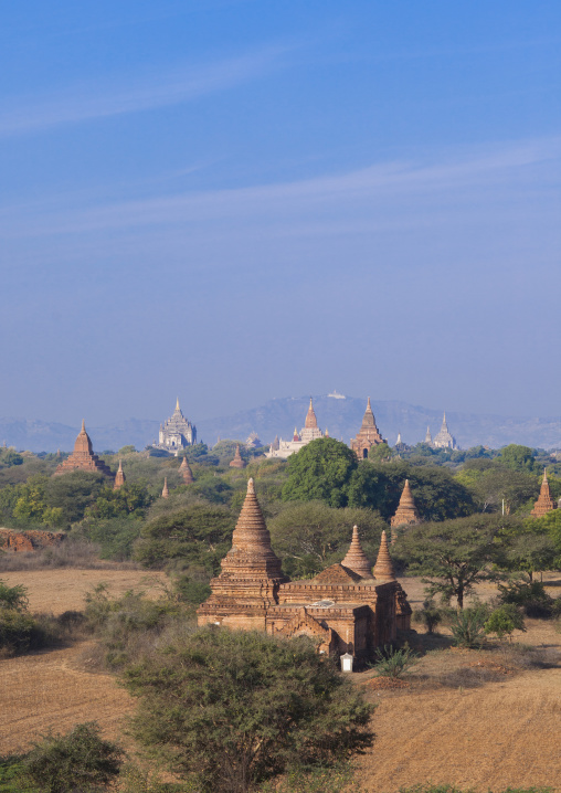 Bagan Plain Dotted With Thousands Of Temple Ruins, Bagan, Myanmar