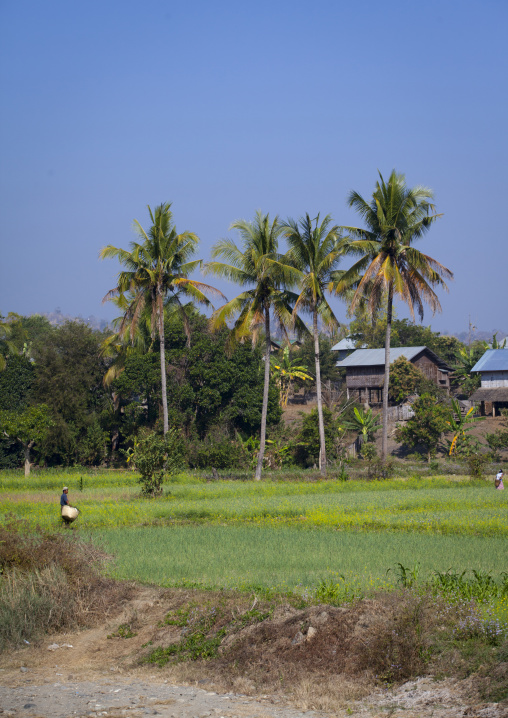 Typical Farm, Mindat, Myanmar