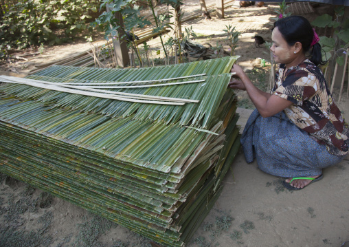 Rohingya Woman Making A New Roof With Palm Leaves, Thandwe, Myanmar
