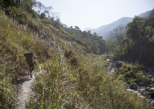 Porter On A Narrow Path In The Hills, Mindat, Myanmar