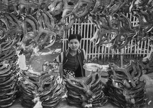 Woman Selling Dried Fishes, Ngapali, Myanmar