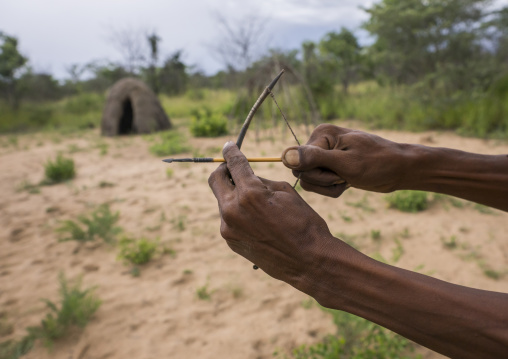 Bushman With A Small Bow They Use To Declare Their Love, Tsumkwe, Namibia