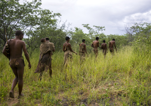 Line Of Bushman Hunters, Tsumkwe, Namibia