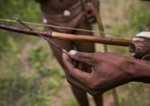 Bushman Bow And Arrow With Blood On It, Tsumkwe, Namibia