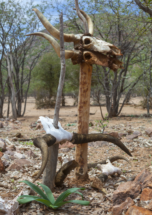 Himba Graves With Cow Horns, Epupa, Namibia