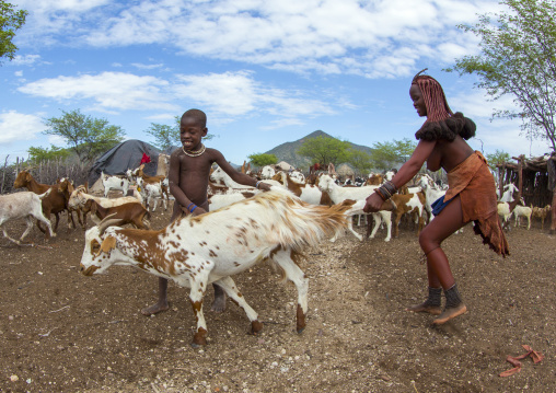 Himba Women Taking Care Of Goats, Epupa, Namibia