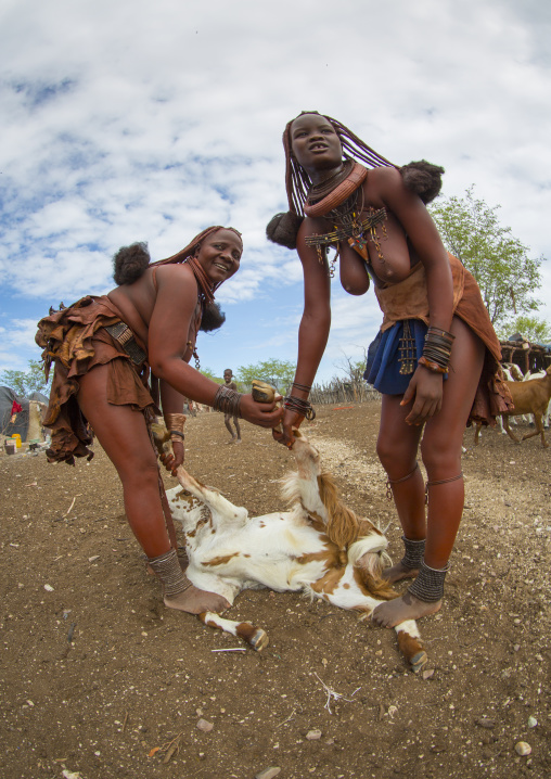Himba Women Taking Care Of Goats, Epupa, Namibia