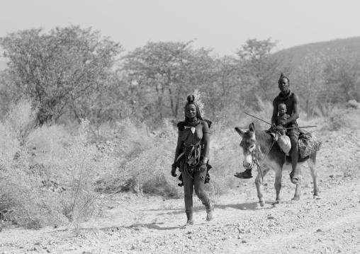 Himba Family With A Donkey, Namibia