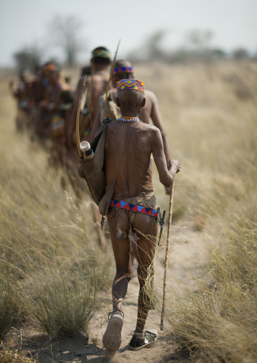 Group Of Sans Walking In The Bush, Namibia