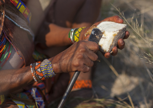 Bushman Cutting A Tuber To Drink The Liquid, Tsumkwe, Namibia