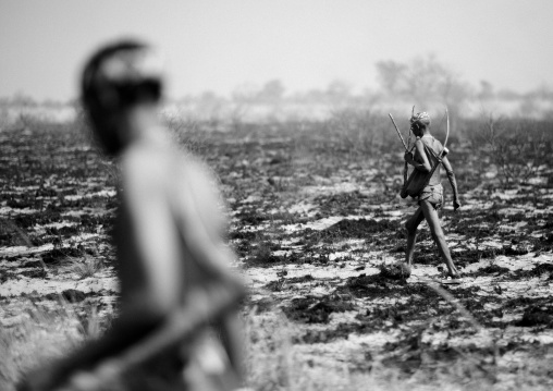 San Hunters Walking In The Bush After A Fire, Namibia