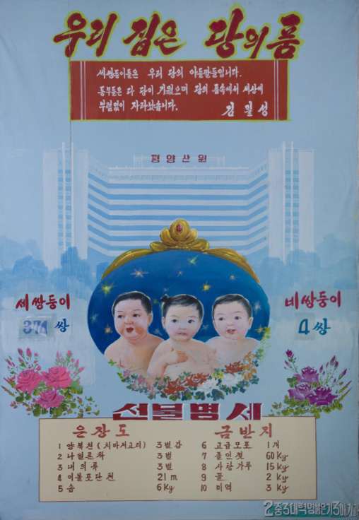 Twins and triplets statistics poster in a North Korean maternity, Pyongan Province, Pyongyang, North Korea
