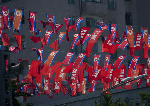 Decorative North Korean flags in the street, Pyongan Province, Pyongyang, North Korea