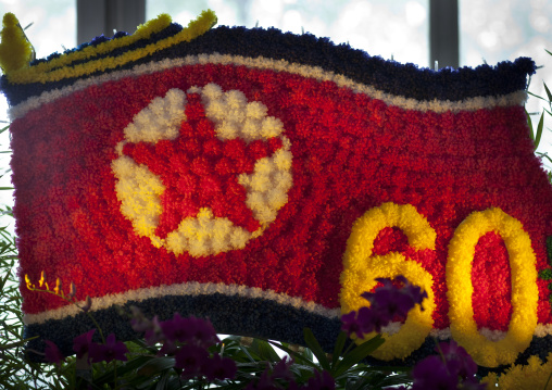 North Korean flag made with flowers for the celebration of the 60th anniversary of the regim, Pyongan Province, Pyongyang, North Korea