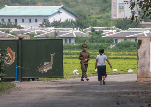 Guard at the entrance of a fish farm, North Hwanghae Province, Sariwon, North Korea