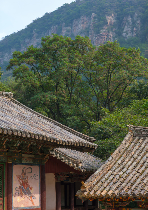 Songbul buddhist temple roofs, North Hwanghae Province, Sariwon, North Korea
