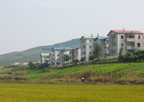 Farmers village in the countryside, Kangwon Province, Chonsam Cooperative Farm, North Korea