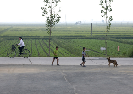Children playing with their dog on a road in the countryside, Kangwon Province, Chonsam Cooperative Farm, North Korea