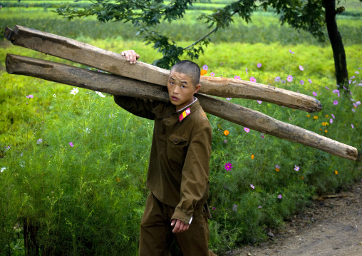 Young North Korean soldier carrying wood in the countryside, North Hwanghae Province, Kaesong, North Korea