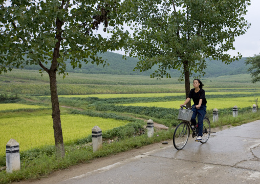 North Korean woman riding a bicycle in the countryside, North Hwanghae Province, Kaesong, North Korea