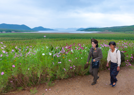 North Korean women walking in the countryside, North Hwanghae Province, Kaesong, North Korea