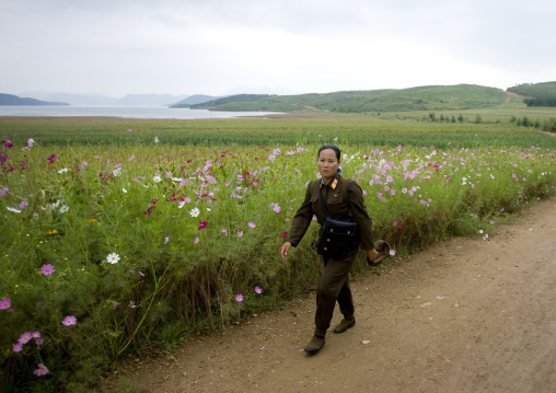 North Korean soldier woman in the countryside, North Hwanghae Province, Kaesong, North Korea