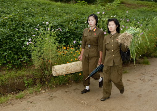 North Korean women soldiers walking in the countryside, North Hwanghae Province, Kaesong, North Korea