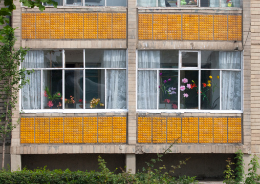 Plastic flowers decoration of an apartment, Pyongan Province, Pyongyang, North Korea