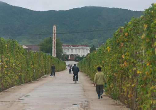 North Korean farm in the countryside, South Hamgyong Province, Hamhung, North Korea